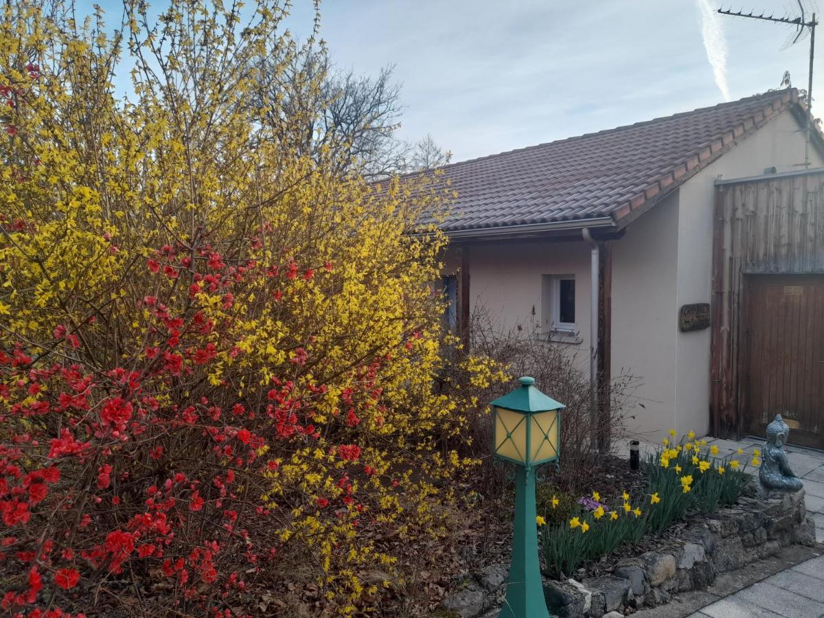 Hotel De L'Ile D'Amour Langeac Esterno foto
